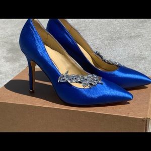 Gorgeous blues shoes